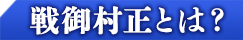 戦御村正とは？