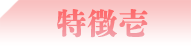 特徴壱