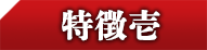 特徴壱