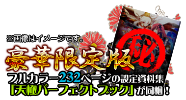 豪華限定版