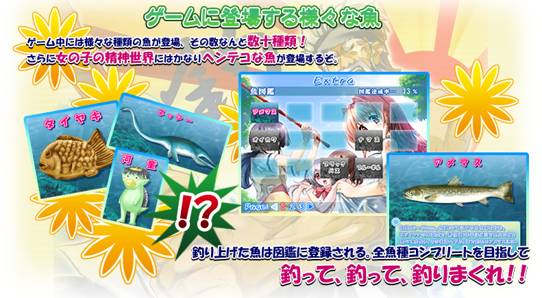システム紹介