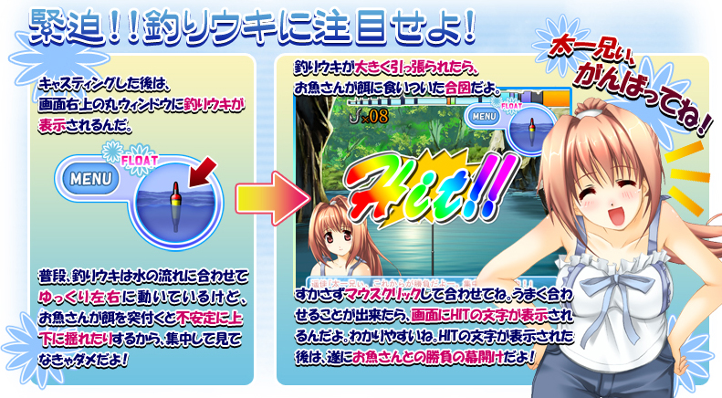 システム紹介