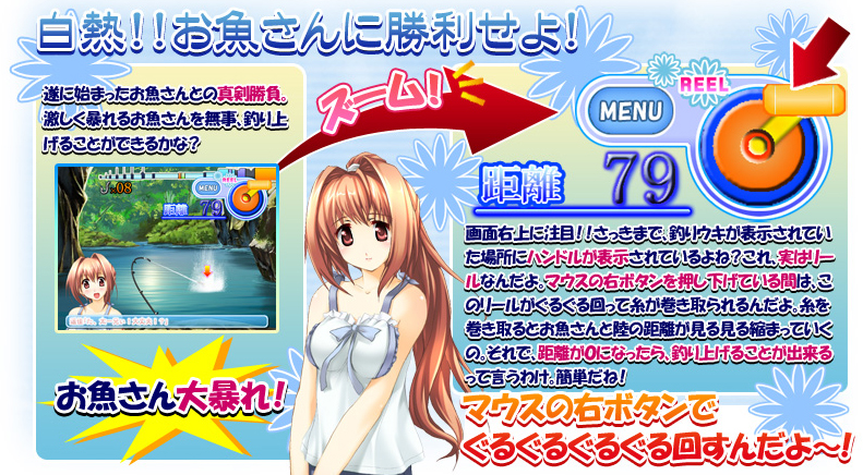 システム紹介