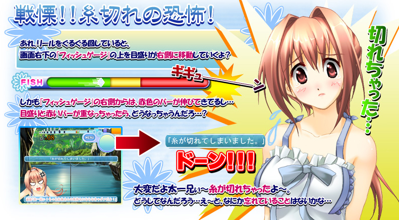 システム紹介