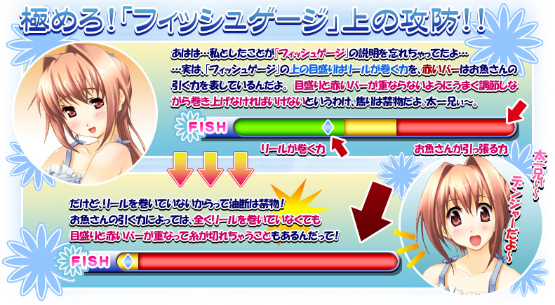 システム紹介